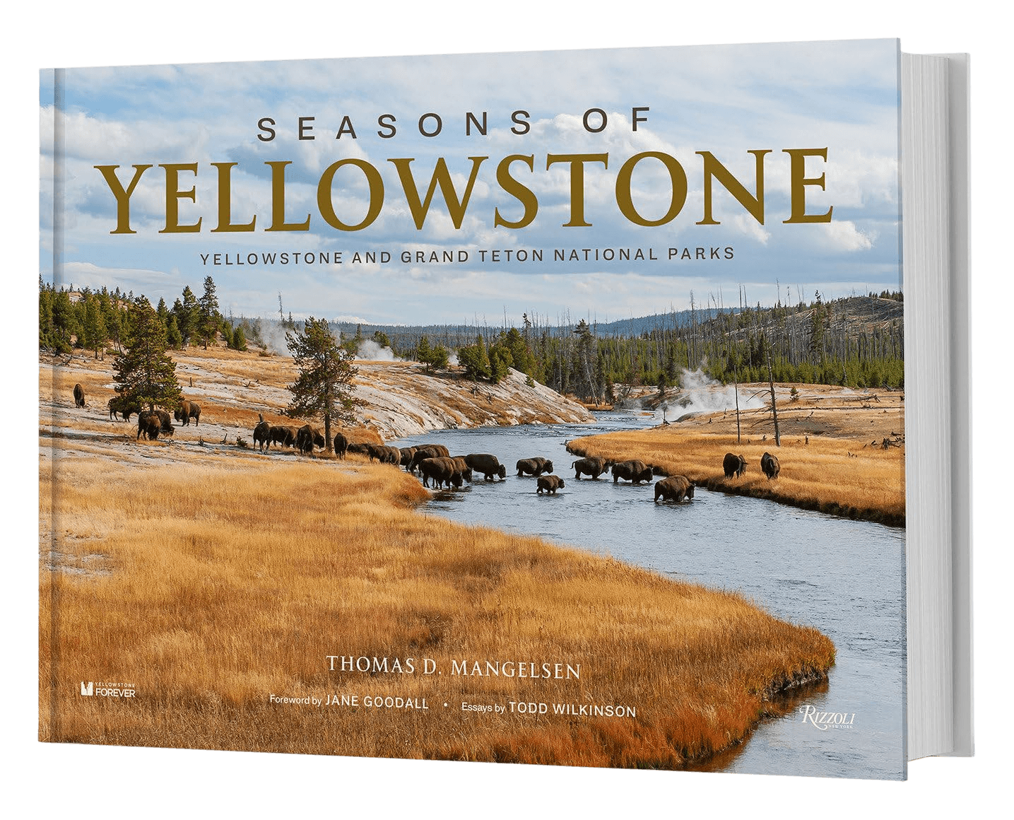 Seasons of Yellowstone Book Cover