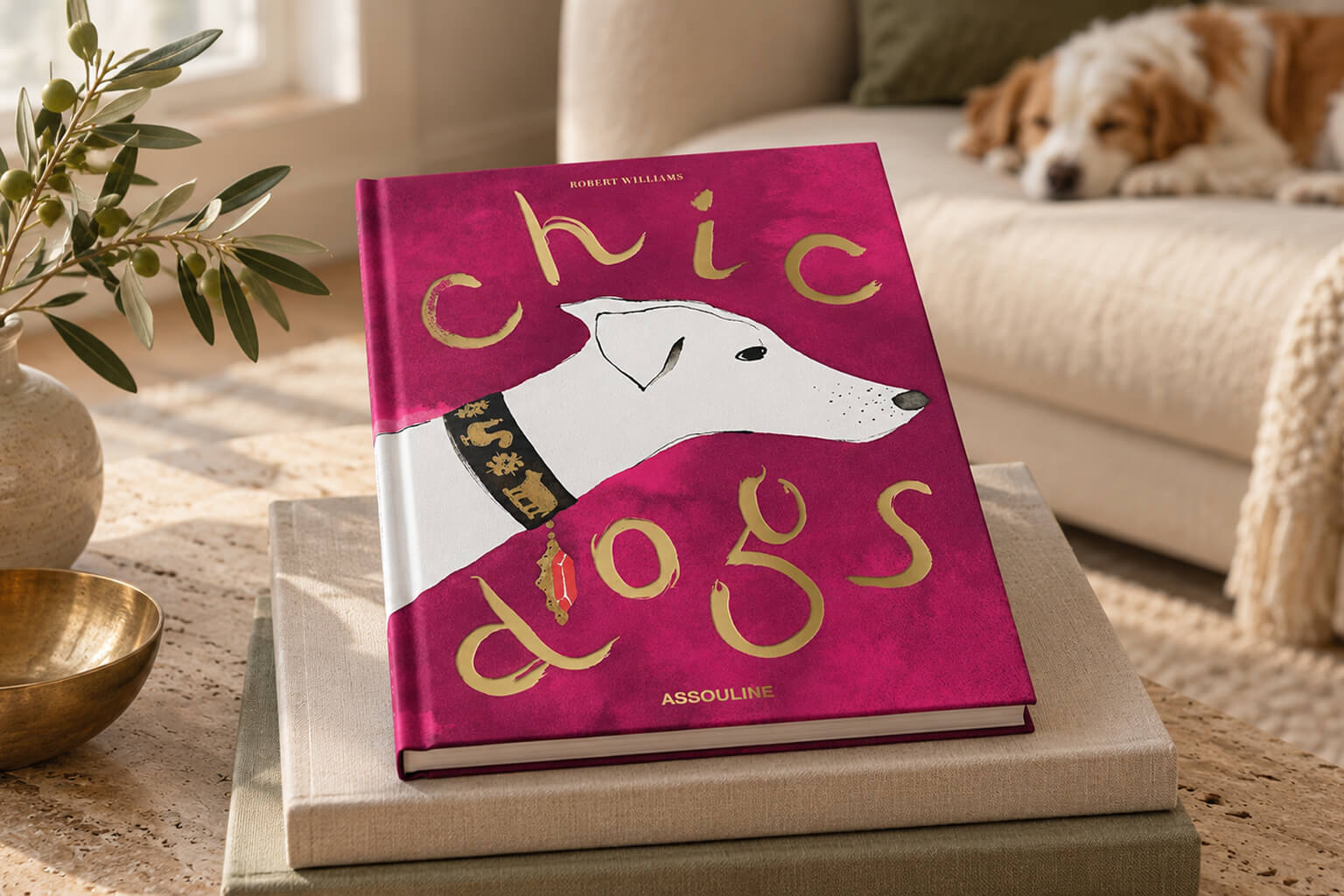 The 9 Best Dog Coffee Table Books (2026)