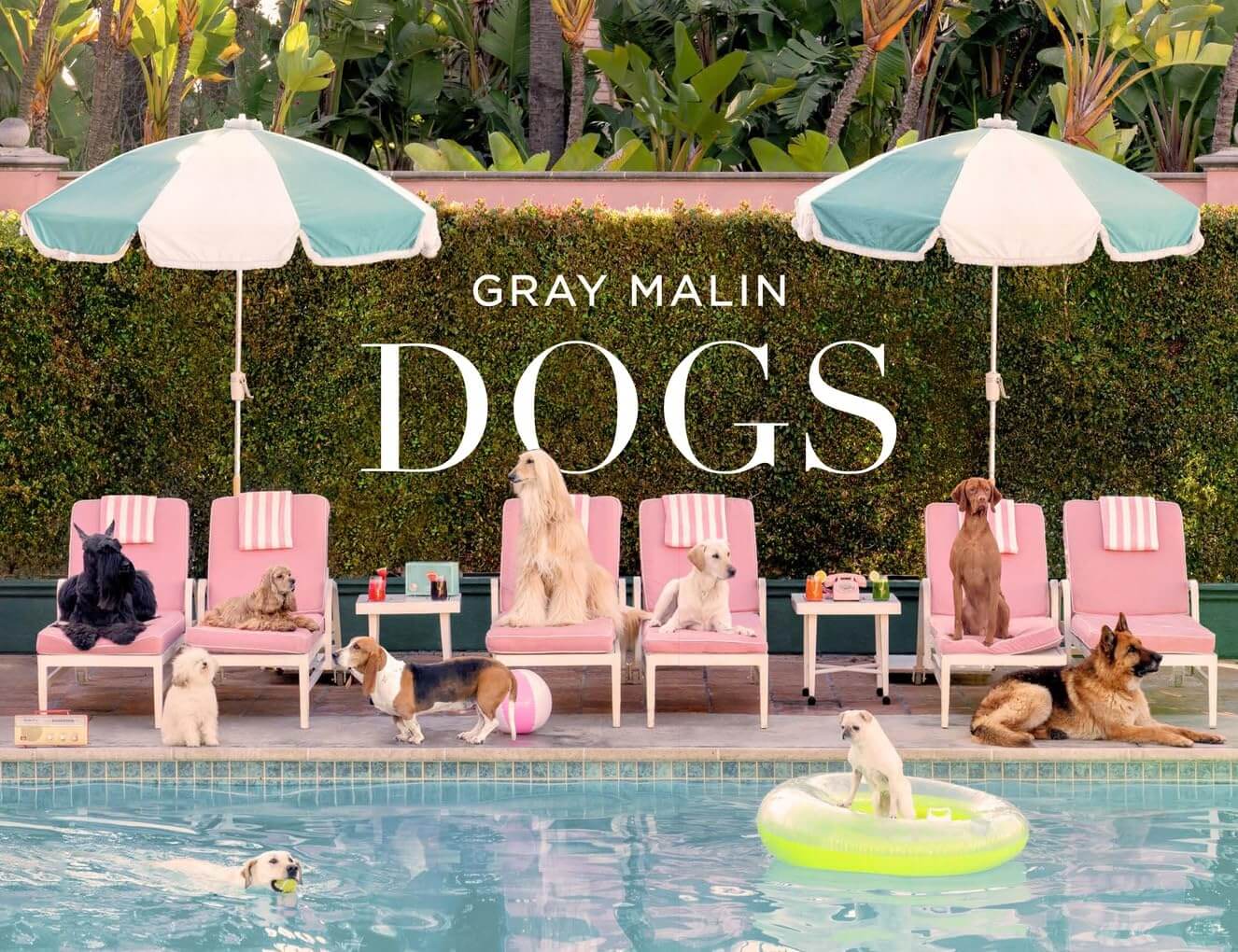 Gray Malin: Dogs coffee table book cover