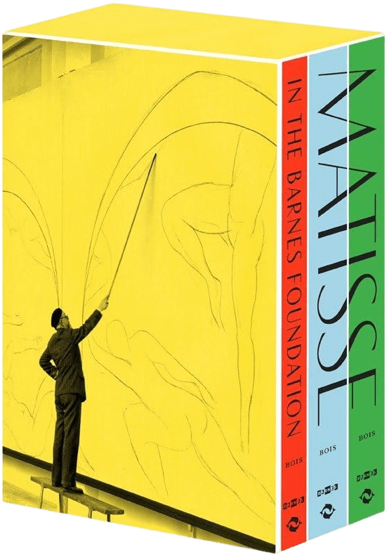 Matisse in the Barnes Foundation Book Cover