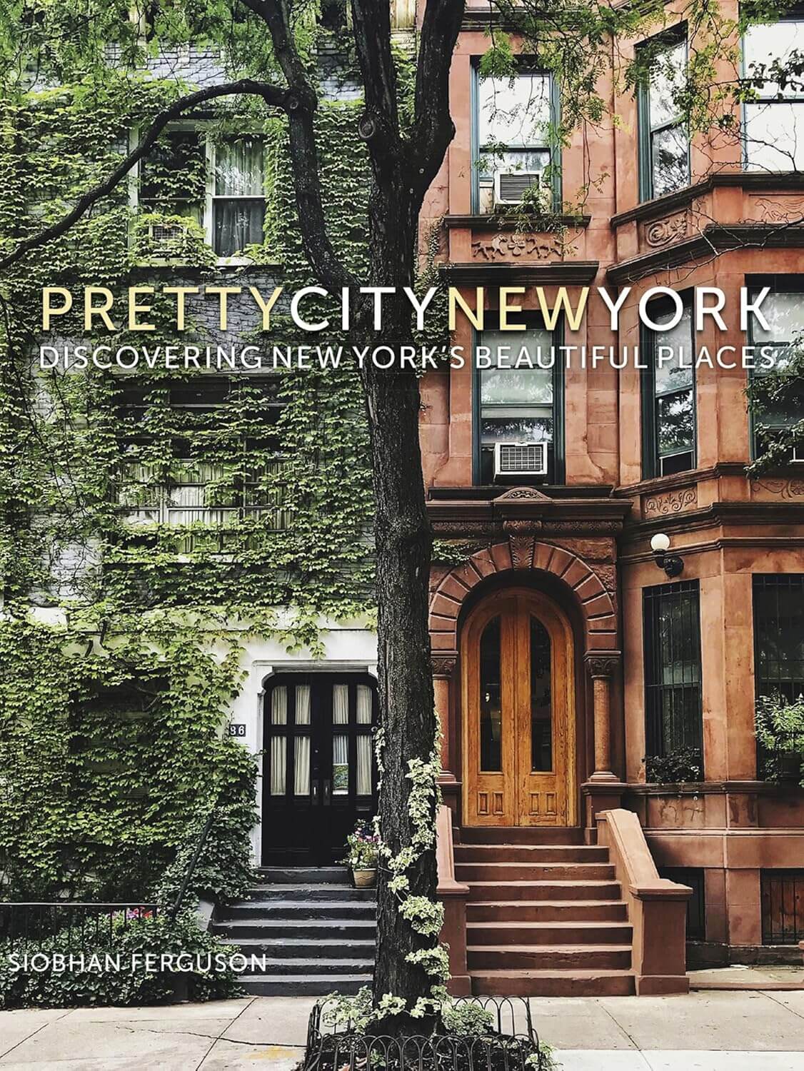 prettycitynewyork book cover