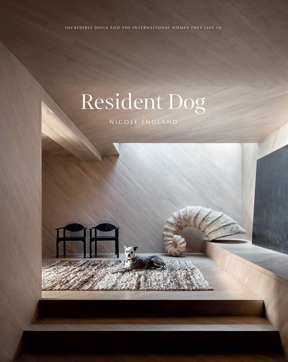 Resident Dog Volume Two coffee table book cover