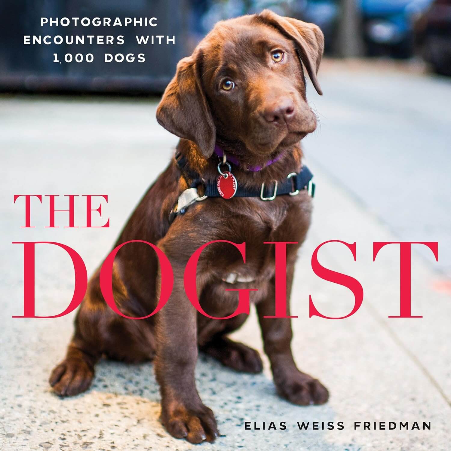 The Dogist book cover