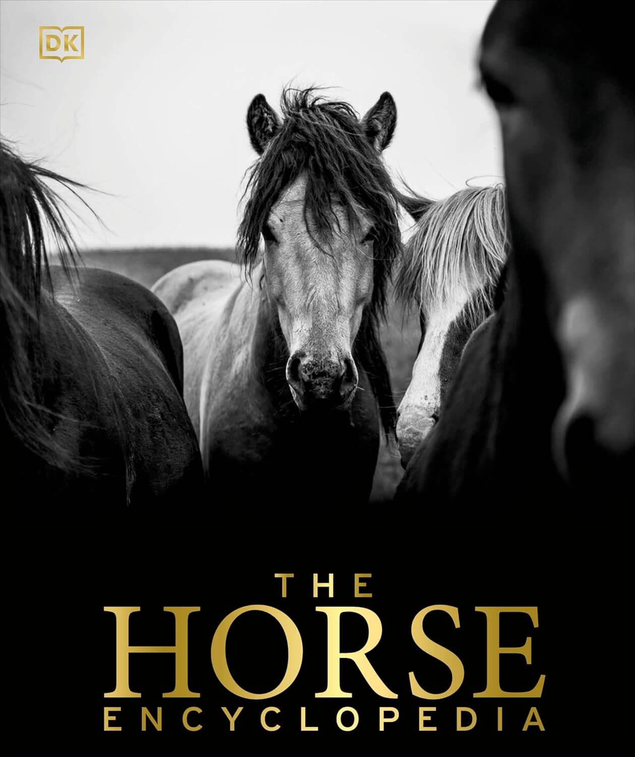 Cover of The Horse Encyclopedia