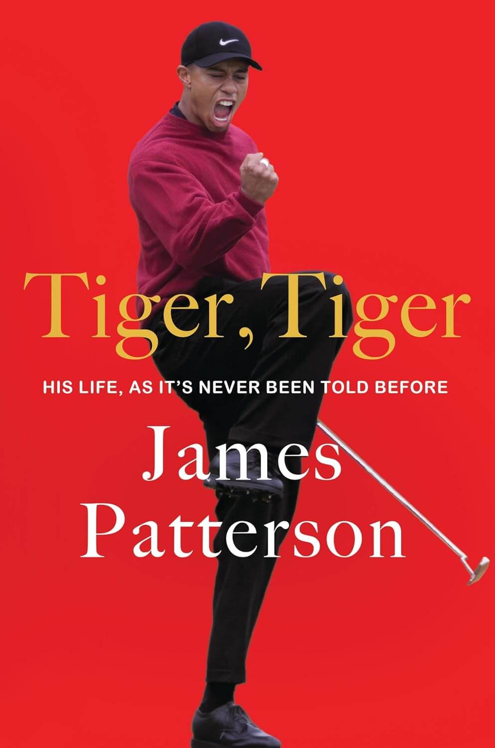 Tiger Tiger James Patterson Book Cover