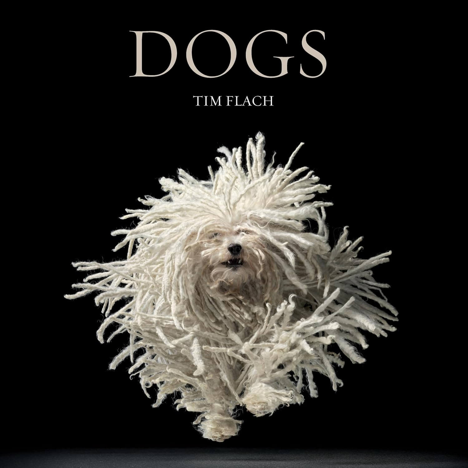 Tim Flach Dogs photography book cover