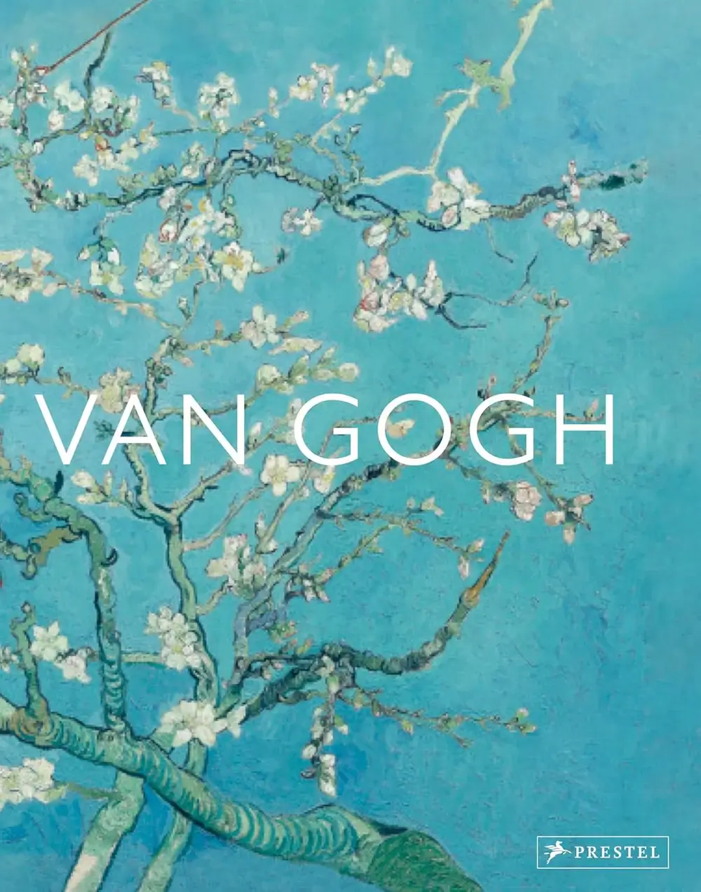 Van Gogh The Bigger Picture Book Cover